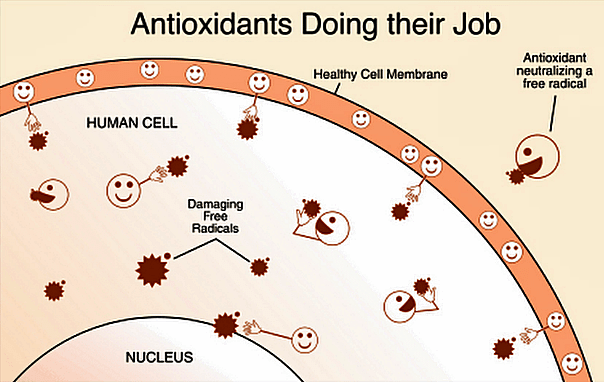 Green Tea and Antioxidants