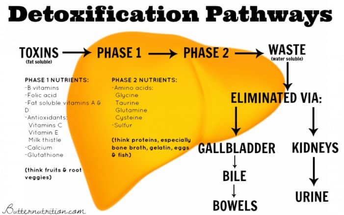 Detoxification of the Body
