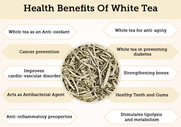 White Tea Health Benefits White Tea Health Benefits