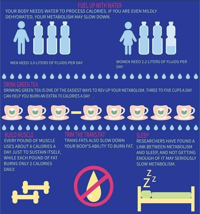 Green Tea Calories Fact Green Tea Calories Fact