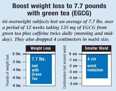 Weight Loss With Green Tea Weight Loss With Green Tea