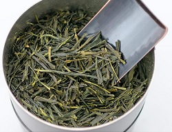 Sencha Green Tea